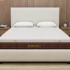 Century Natural Latex Mattress -8 Inches